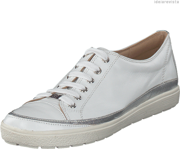 Download Walking Shoe PNG Image with No Background - PNGkey.com