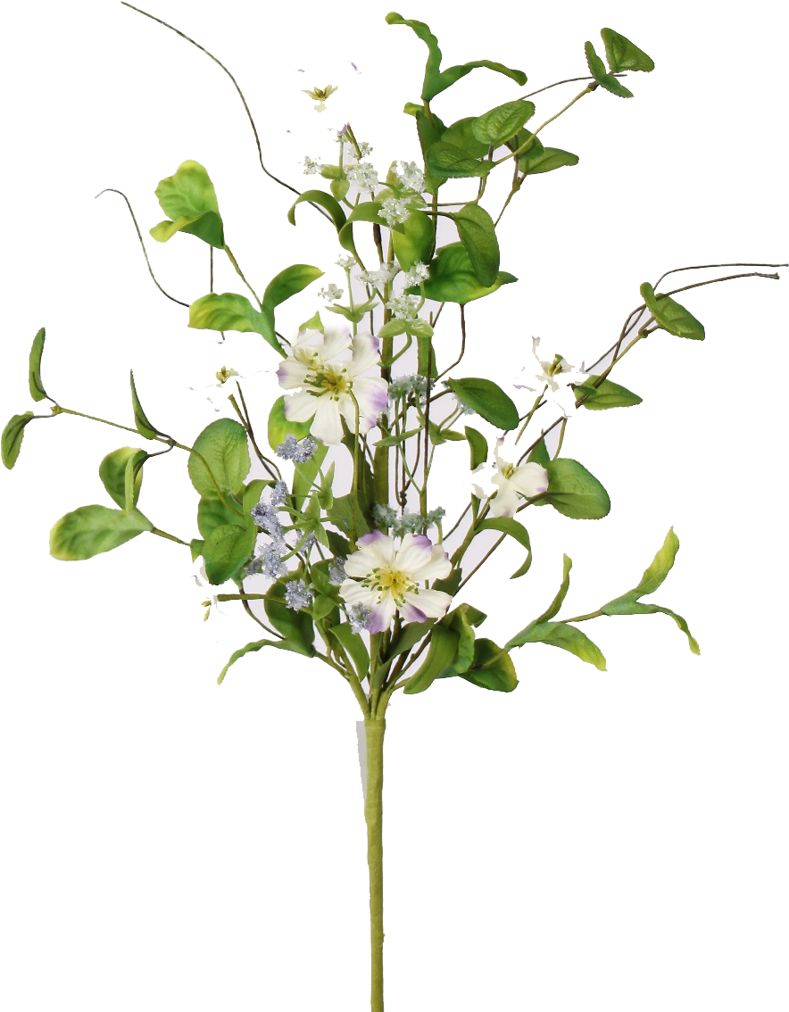 Dogwood Spray - Bouquet (908x1137), Png Download