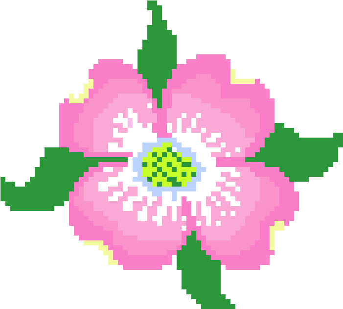 Dogwood Blossom - Illustration (800x750), Png Download