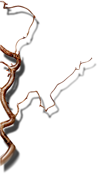 Art (317x616), Png Download