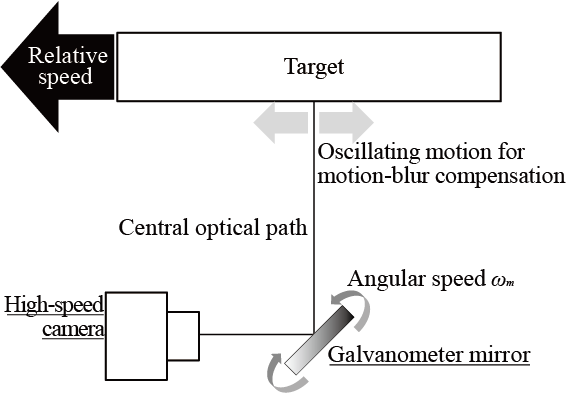 Deformable Interface Bear - Active Perception (566x393), Png Download