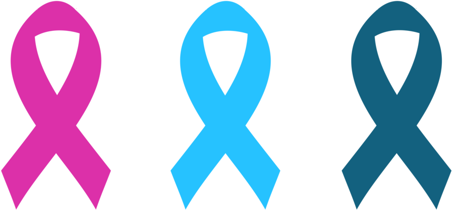 Breast Cervical Colon Health Program - Health (1000x1000), Png Download