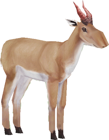 Saigaholden - Saiga Png (496x496), Png Download