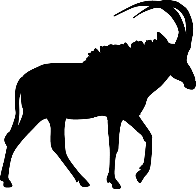 Pronghorn Antelope Silhouette Clip Art - Roan Antelope Silhouette (655x633), Png Download