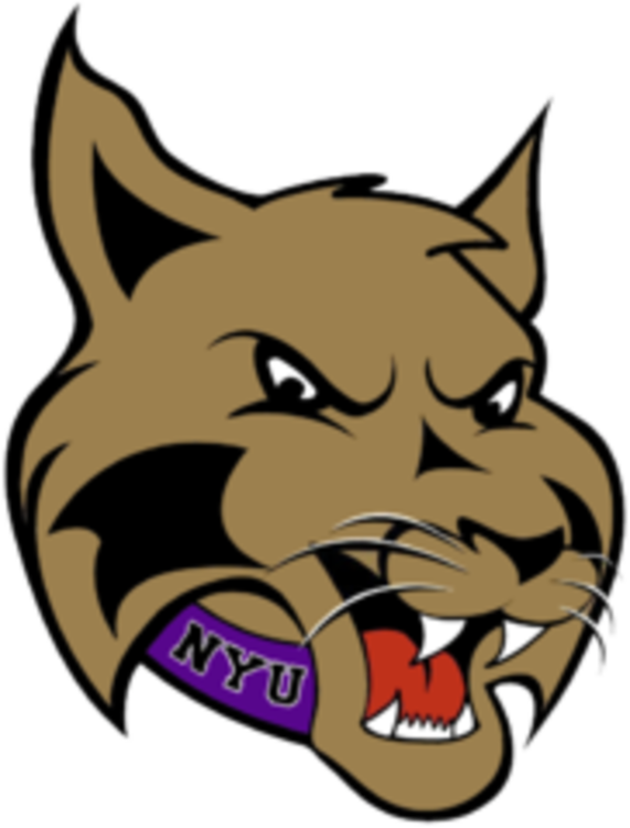 Display Nyu Violets Logo - New York University Mascot (571x750), Png Download