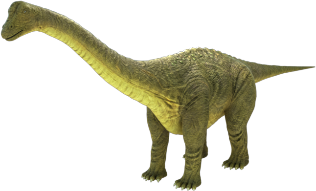 Brontosaurus Apatosaurus 3d Model - Brontosaurus Png (850x478), Png Download