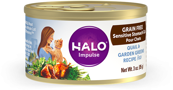 Halo Holistic Sensitive Stomach Grain Free Quail & - Cat Food Rabbit Pate (800x528), Png Download