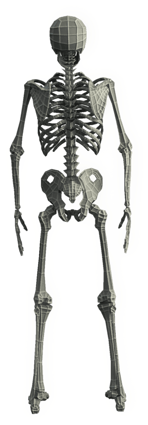 Base Mesh Skeleton - Low Poly (1024x1024), Png Download