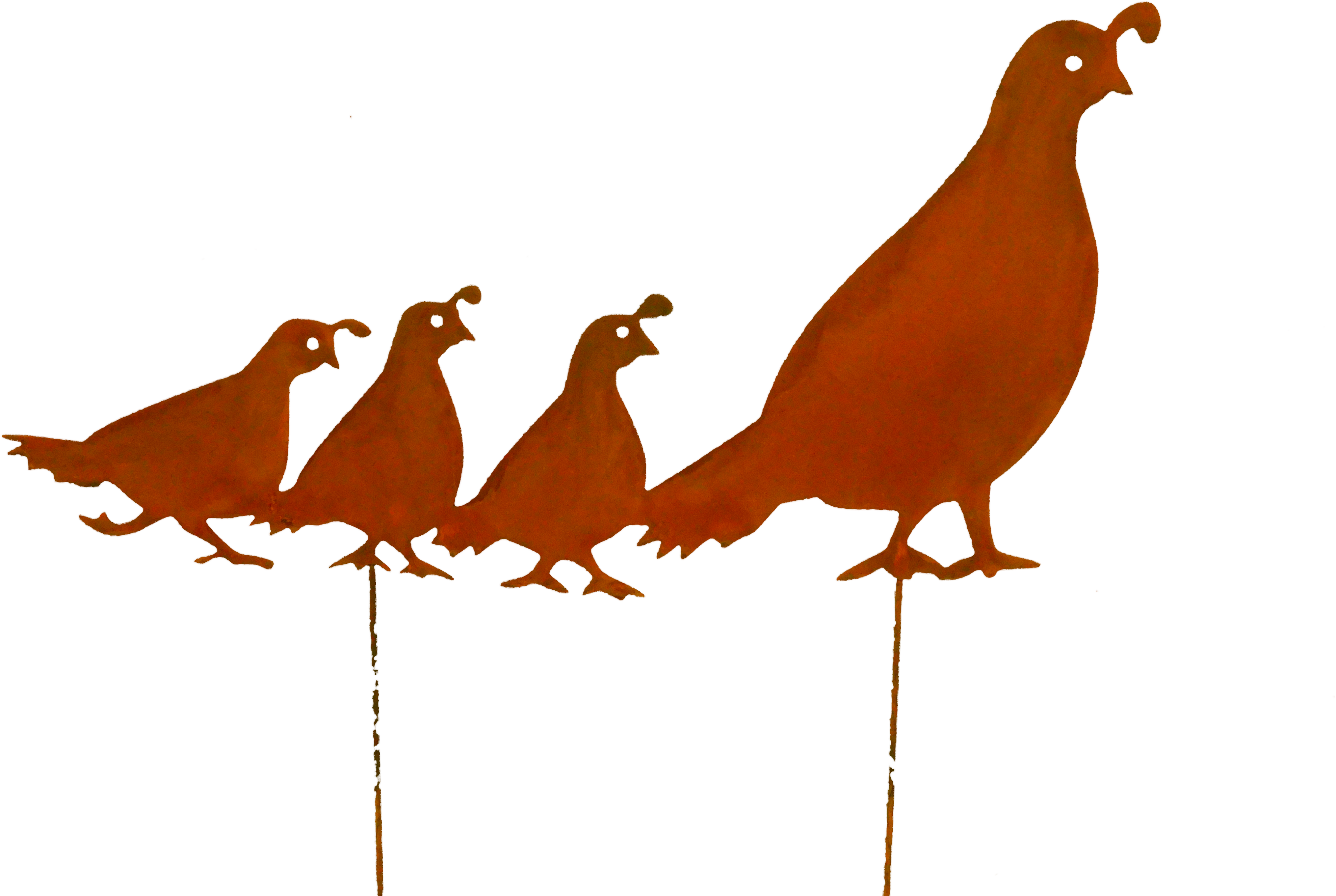 Quail Family-lrg Larger Image - Computer Numerical Control (4608x3456), Png Download