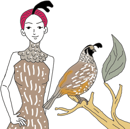 Quail - Illustration (450x450), Png Download