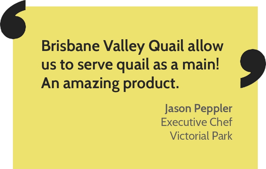 Quail Png (907x577), Png Download