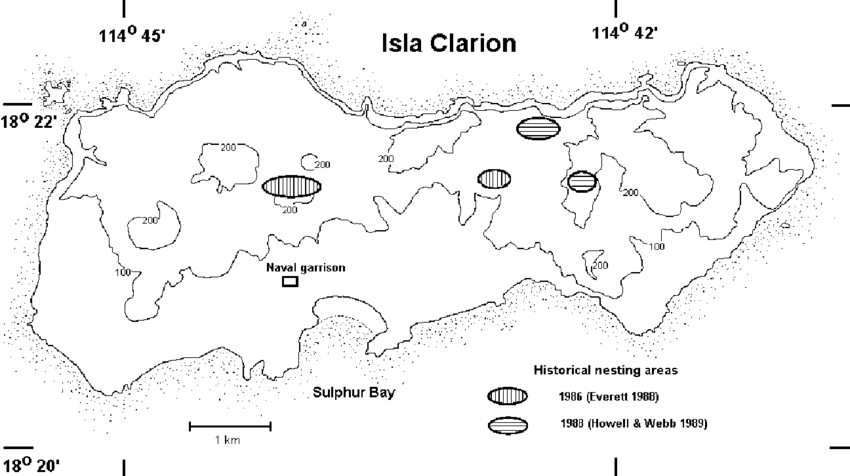 Previously Reported Locations Of Townsend's Shearwater - Townsend's Shearwater (850x476), Png Download