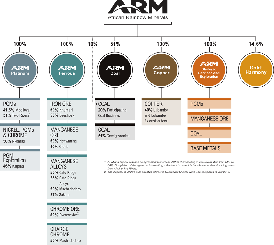 Group Structure - African Rainbow Minerals Operations (900x804), Png Download