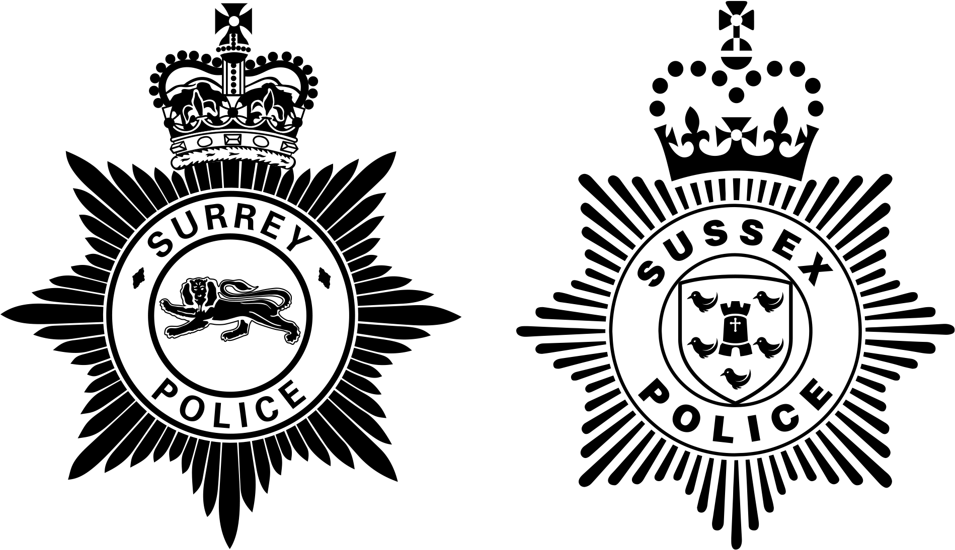 Communityspeedwatch Online In Partnership With Sussex - Testimonial For Chartered Accountant (2020x1157), Png Download