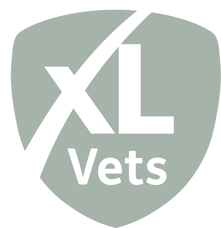 Menu - Xl Vets (809x829), Png Download
