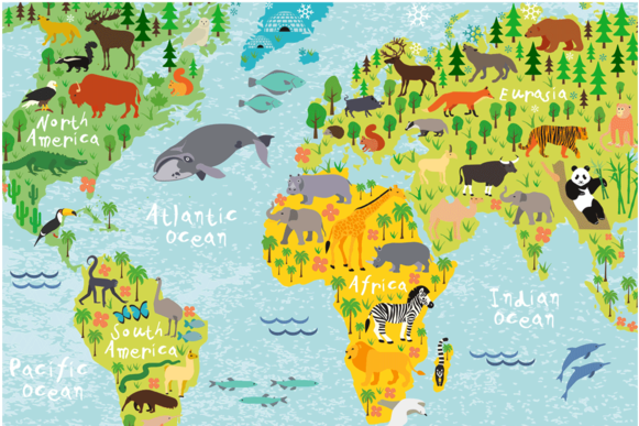 World Map Rectangular Picture - Boys Girls Bedroom Decoration Large Wall Sticker Decal (800x800), Png Download