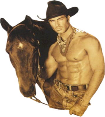 Cow Boy (357x397), Png Download