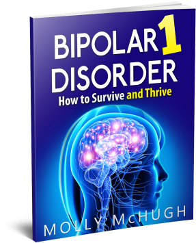 Bipolar 1 Disorder - Bipolar 1 Disorder - How To Survive And Thrive (360x415), Png Download