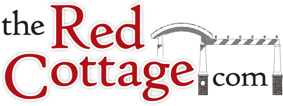 Dragonfly By Burton L Carlson (1200x462), Png Download