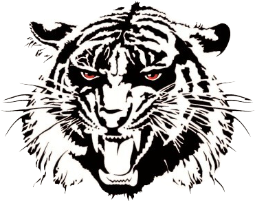 Moon Area Tigers - School (461x388), Png Download