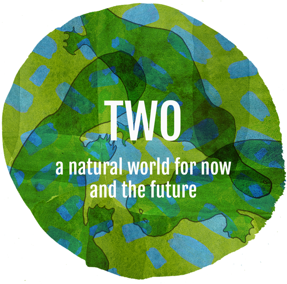 Two (1000x1000), Png Download
