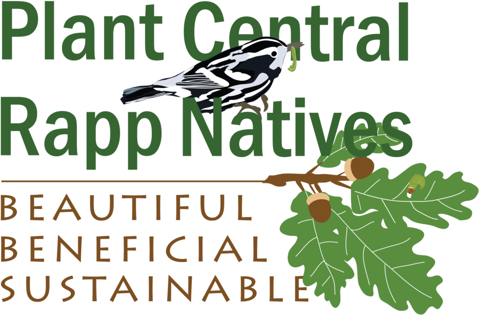 Plant Central Rapp Natives Logo - Will (1000x677), Png Download