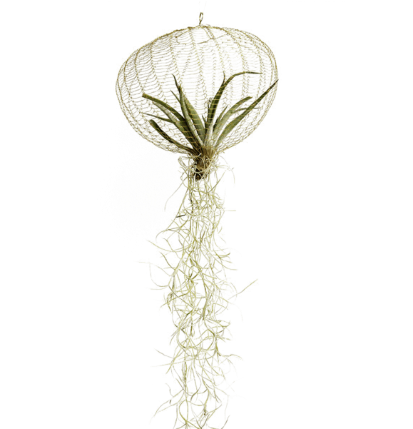 Air Planting (600x600), Png Download