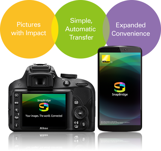 Show More - Nikon D3400 (536x503), Png Download