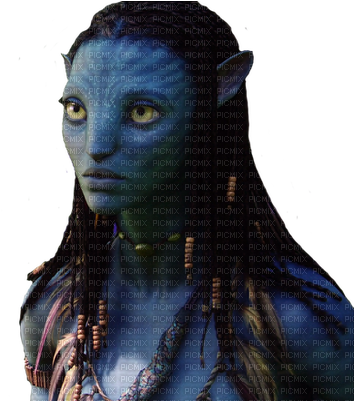 Download Avatar Movie Avatar Neytiri Png Png Image With No Background Pngkey Com