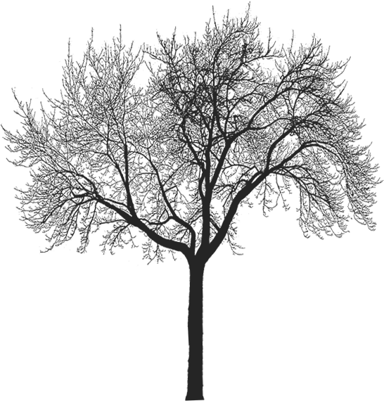 Thumb Image - So I Guess We Are Who We (546x570), Png Download