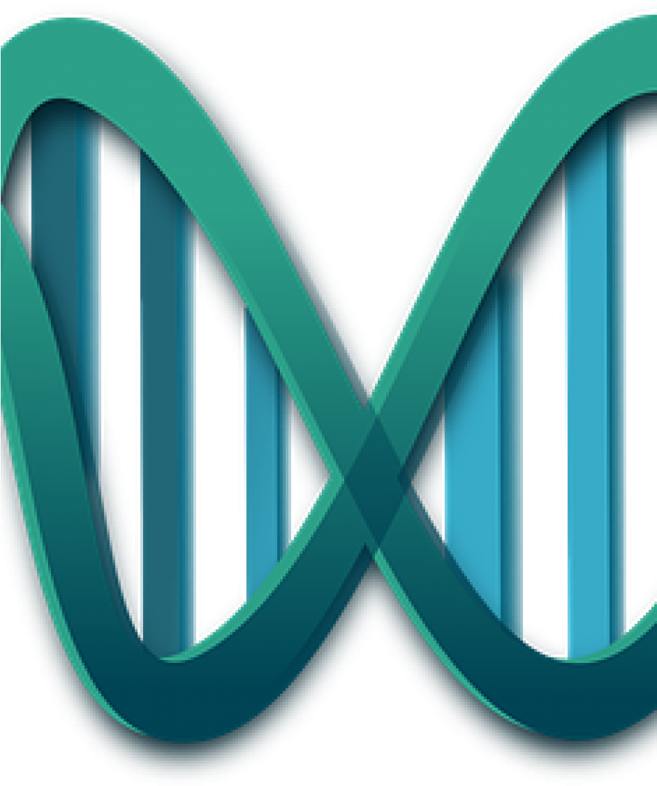 Cropped-genes - Dna Clip Art (954x1300), Png Download