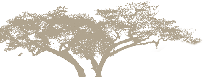 Arctictern Training Center - Towards Exile: Life, Limbo And Beyond - Trade Paperback (700x266), Png Download