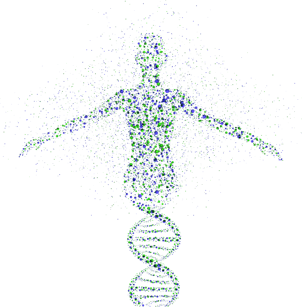 Human Genome Project Final - Fabry Disease (996x1011), Png Download