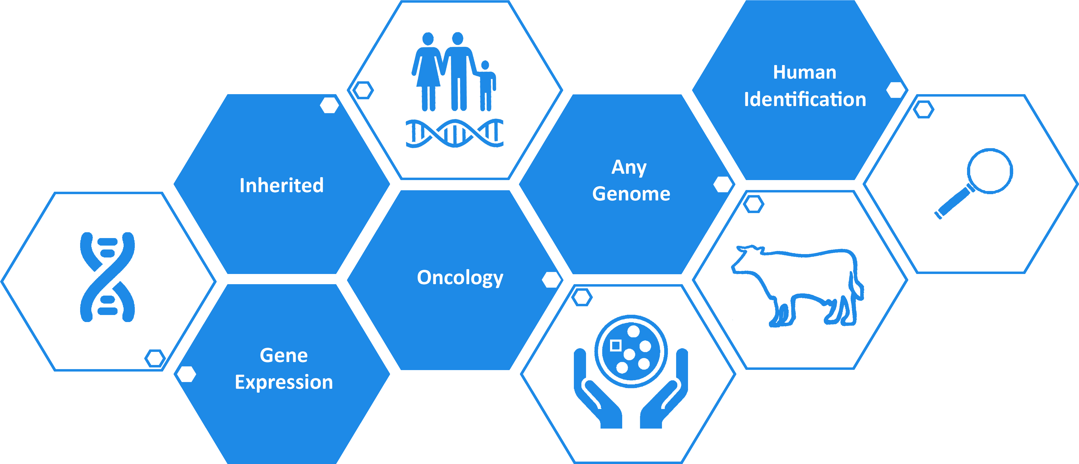 Genetic Designs (4453x1949), Png Download