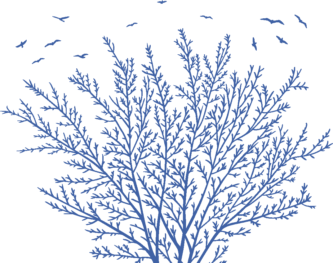 Blucitrus Tree - Illustration (1082x846), Png Download