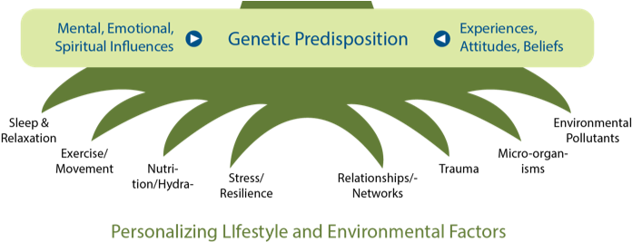 Tree Bottom - Institute For Functional Medicine Tree (855x266), Png Download