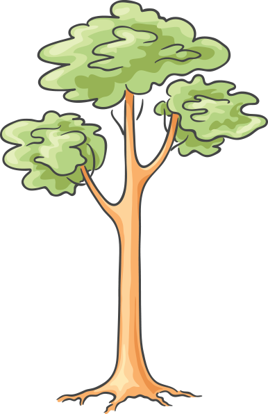 Cartoon Tree - Cartoon Tree Images Png Format (386x596), Png Download