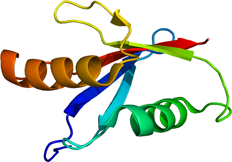 Protein Kinase C Png (837x599), Png Download