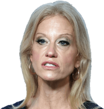Download - Kellyanne Conway (640x360), Png Download