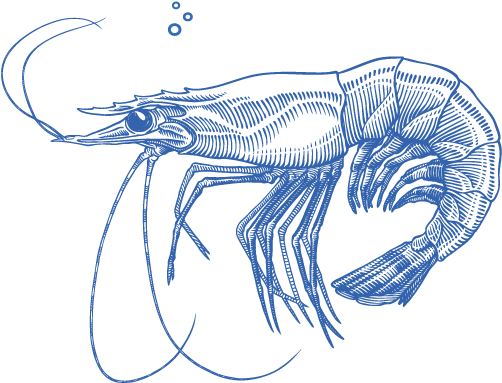 Experience Seafood The Way It Should Be - Blue Shrimp Png (699x414), Png Download