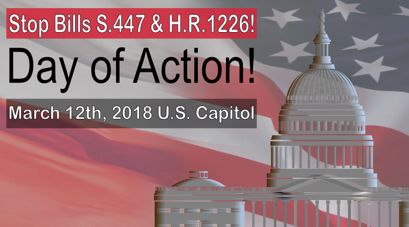 Love My Six Pack So (800x445), Png Download