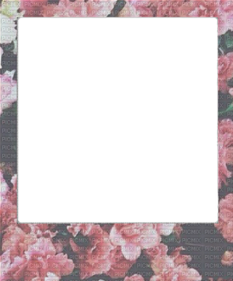 Loly33 Frame Cadre Polaroid - Floral Polaroid Png (331x400), Png Download