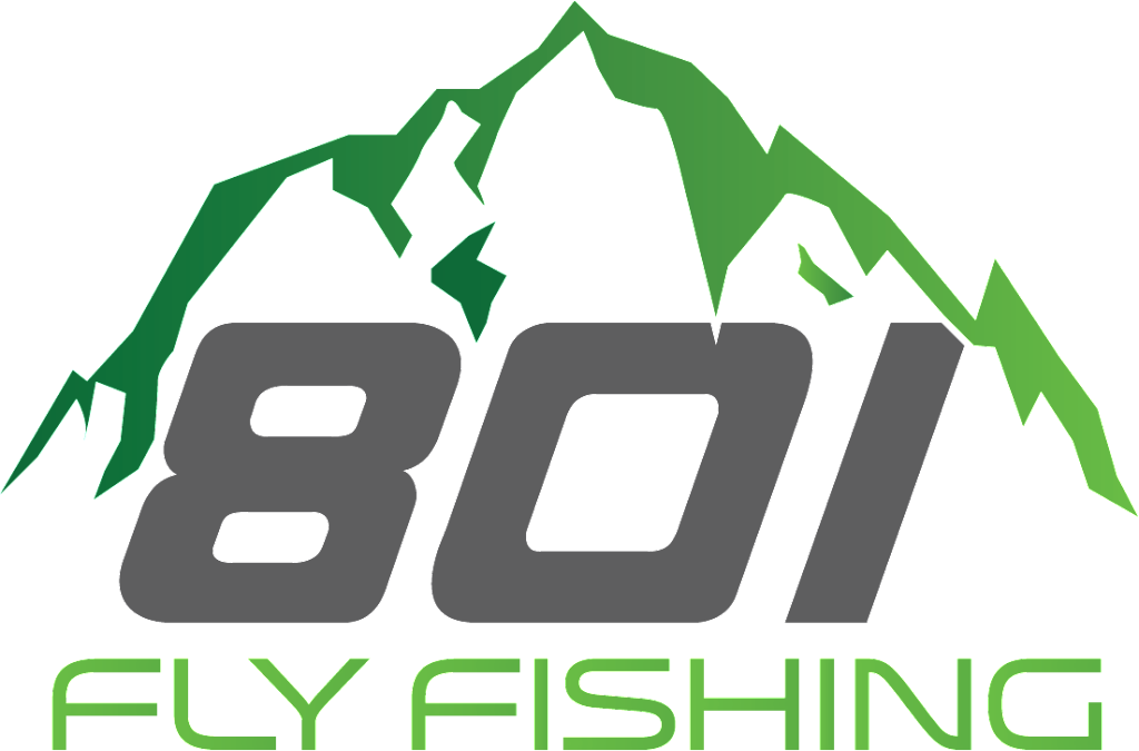 Come Home Year (1024x675), Png Download