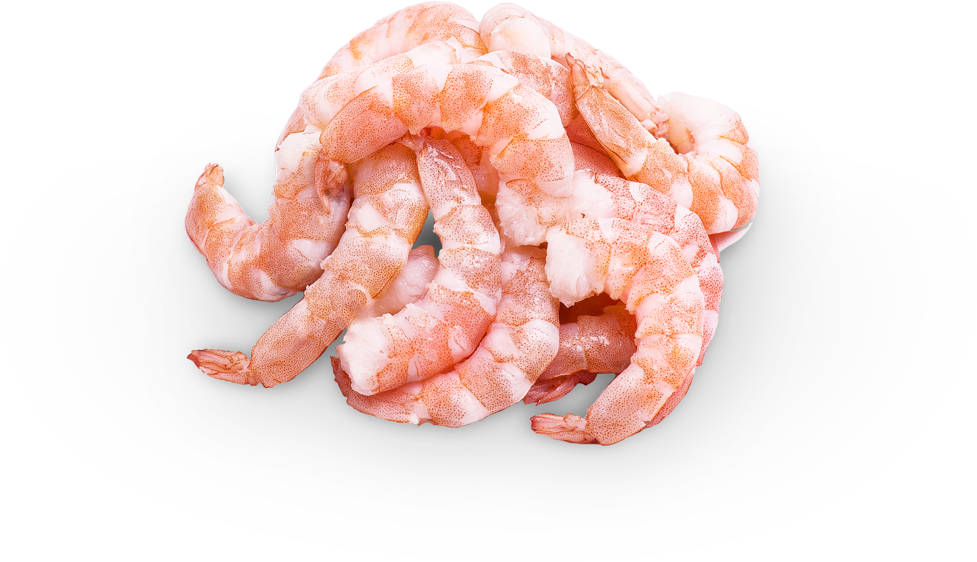 Camarón Coctel Seleccionado - Botan Shrimp (2048x2048), Png Download