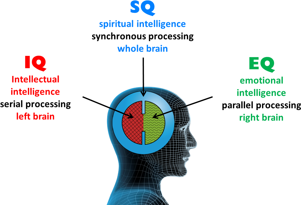 How to get iq. IQ EQ sq PQ. IQ EQ sq что это. Отличие IQ от EQ. IQ И EQ расшифровка.
