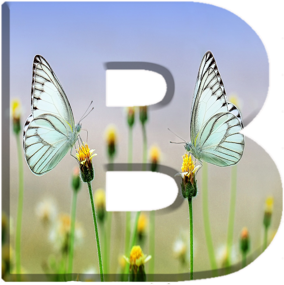 Alfabeto Decorativo Borboletas Png - Spring (1000x1000), Png Download