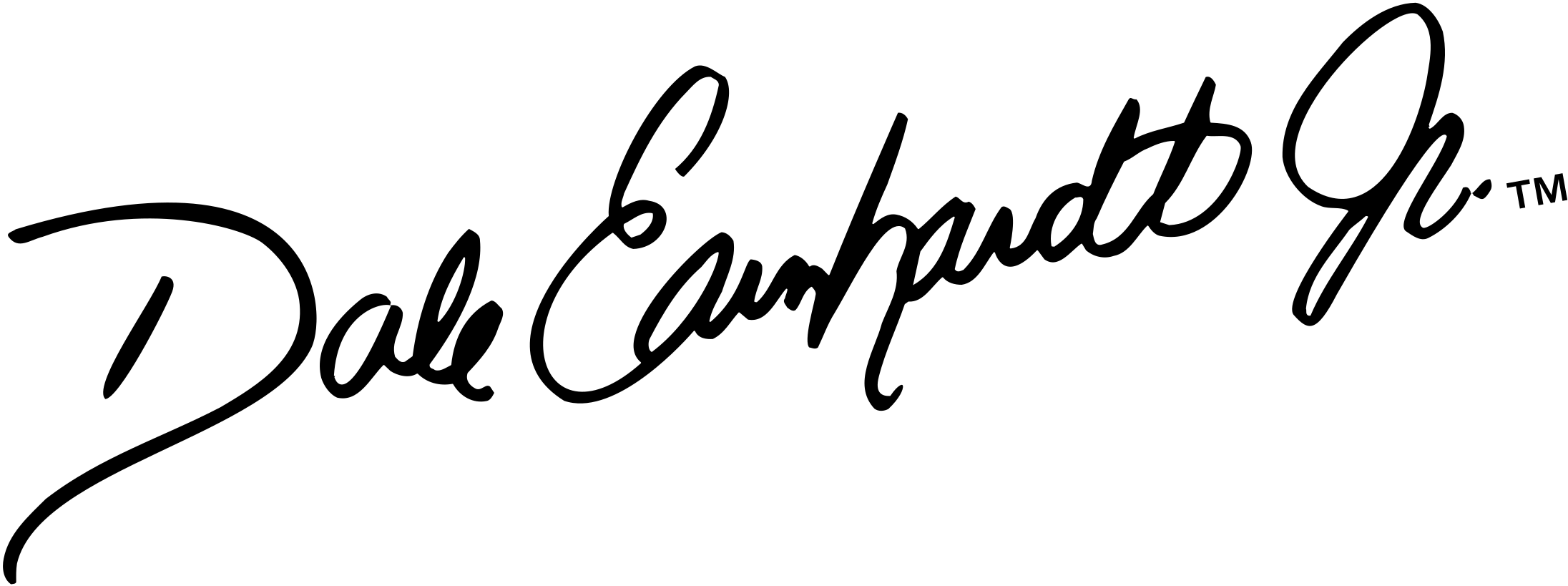Dale Earnhardt Jr Signature Logo Png Transparent - Dale Earnhardt Jr Signature (2400x2400), Png Download