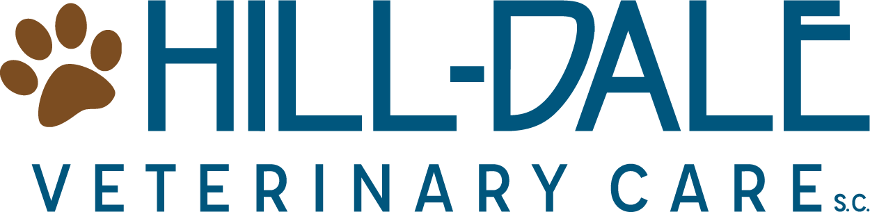 Hill-dale Veterinary Care, S.c. (1250x305), Png Download