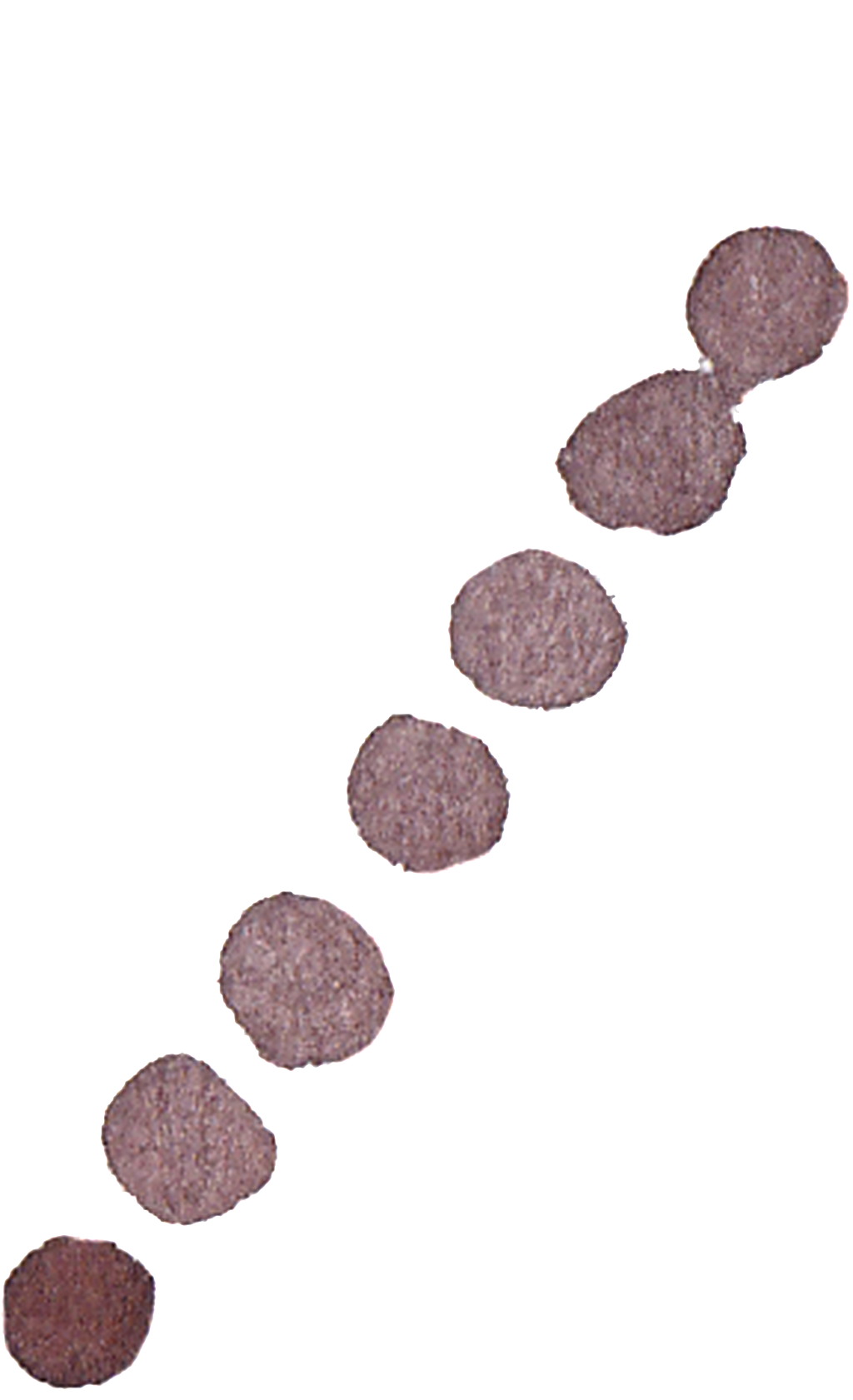 Chocolate Ice Cream Transparent Decorative - Cookie (1024x1681), Png Download