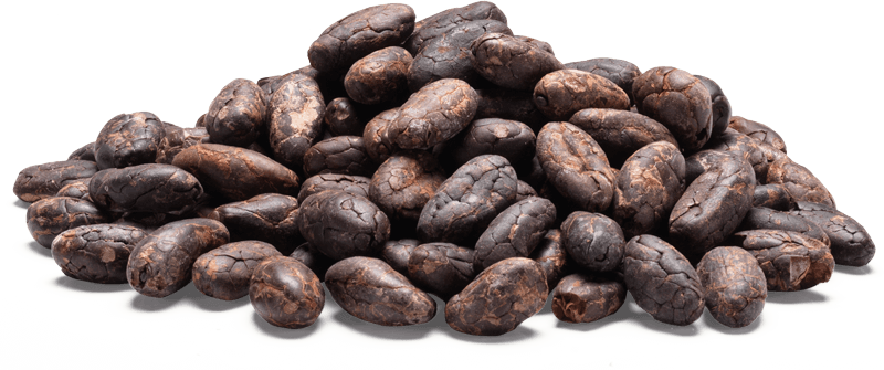 Chocolate Is Filled With Sugar, Fat, And Calories Which - Domenico Chocolate (800x335), Png Download